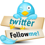 Awesome Follow Us Twitter Bird Widget For Blogger